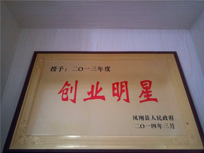 公司被縣政府授予創(chuàng)業(yè)明星稱號(hào)